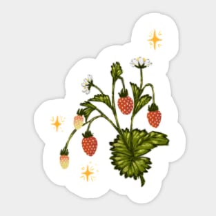 Very berry Sticker